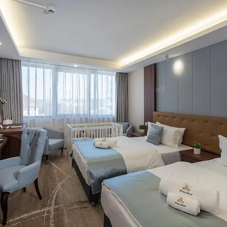 Willis Business & Wellness Hotel 4*