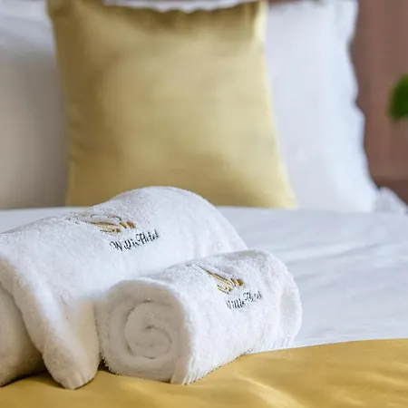 Willis Business & Wellness Залаэгерсег