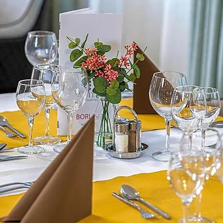 Willis Business & Wellness 4* Zalaegerszeg