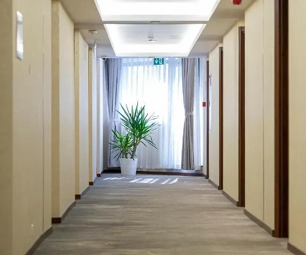 Willis Business & Wellness Zalaegerszeg