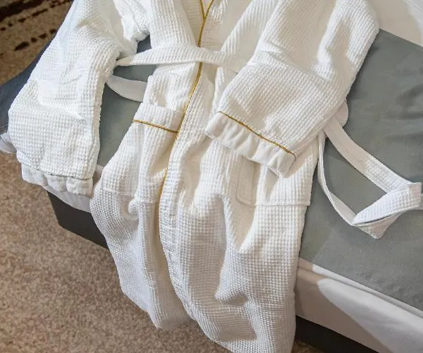 Willis Business & Wellness 4* ザラエゲルセグ