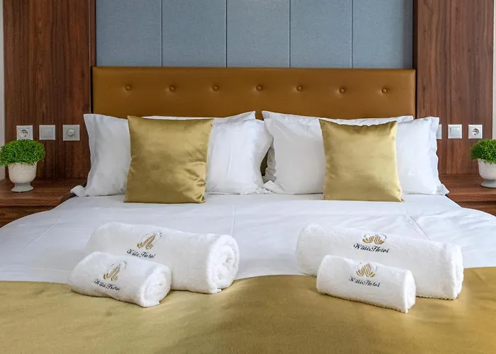 Willis Business & Wellness 4* Zalaegerszeg