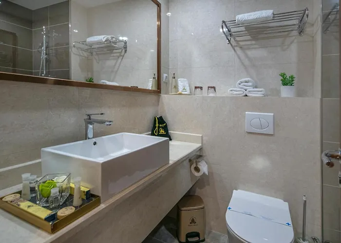 Willis Business & Wellness Hotel